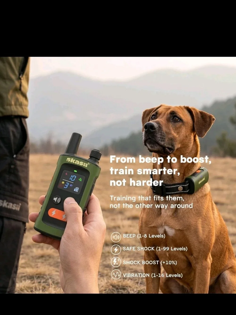 N/A dog training